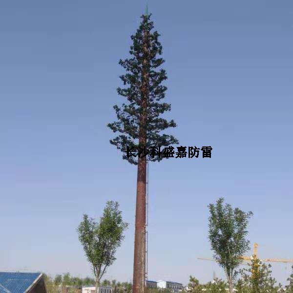 這是什么？看到圖先猜猜再進(jìn)來，猜對了的都是公雞中的戰(zhàn)斗機(jī)